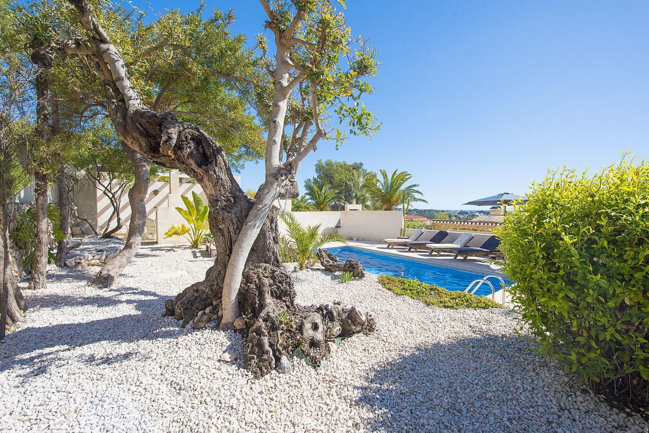 Villa Benavero Boutique Style Within Fenced Tropical Garden Calpe Exterior photo