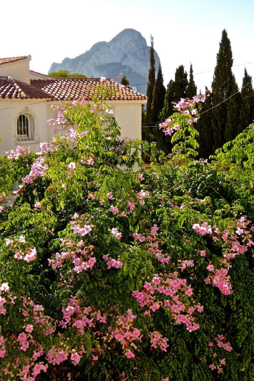 Villa Benavero Boutique Style Within Fenced Tropical Garden Calpe Exterior photo